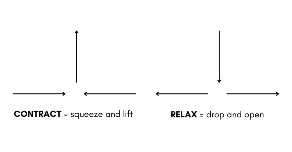 Diaphragm demonstrating the two phases of a pelvic floor contraction: the contract phase and relax phase. During the contract phase, there is a squeeze and lift. During the relax phase, there is a drop and open.